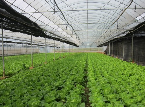 �r(n��ng)�I(y��)�Nֲ