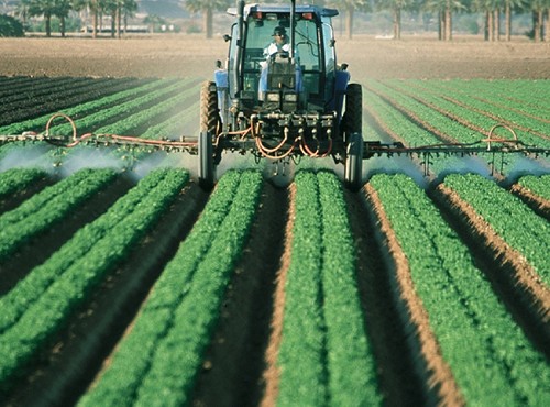 �r(n��ng)�I(y��)�Nֲ