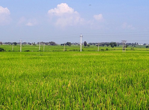 �r(n��ng)�I(y��)�Nֲ