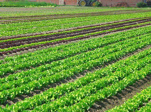 �r(n��ng)�I(y��)�Nֲ