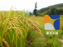 ���ĸ��� ��ͬ�l(f��)չ