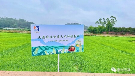 ����һ����������c����һ�� �ְ�����Ԓ�r(n��ng)ɣ